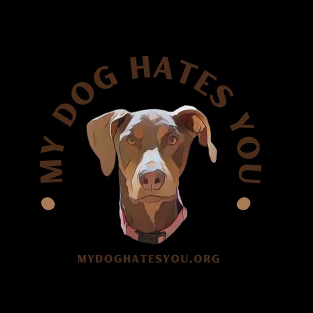 My Dog Hates You โ the dog who judges you